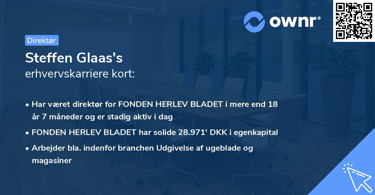 Steffen Glaas's erhvervskarriere kort