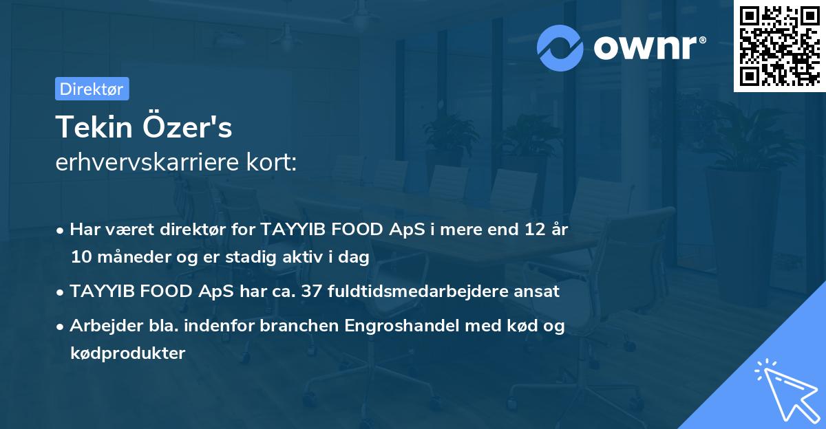Tekin Özer's erhvervskarriere kort