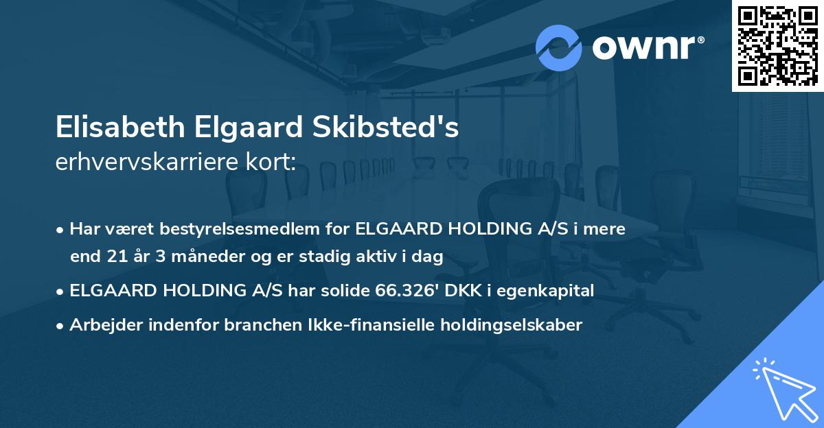 Elisabeth Elgaard Skibsted's erhvervskarriere kort