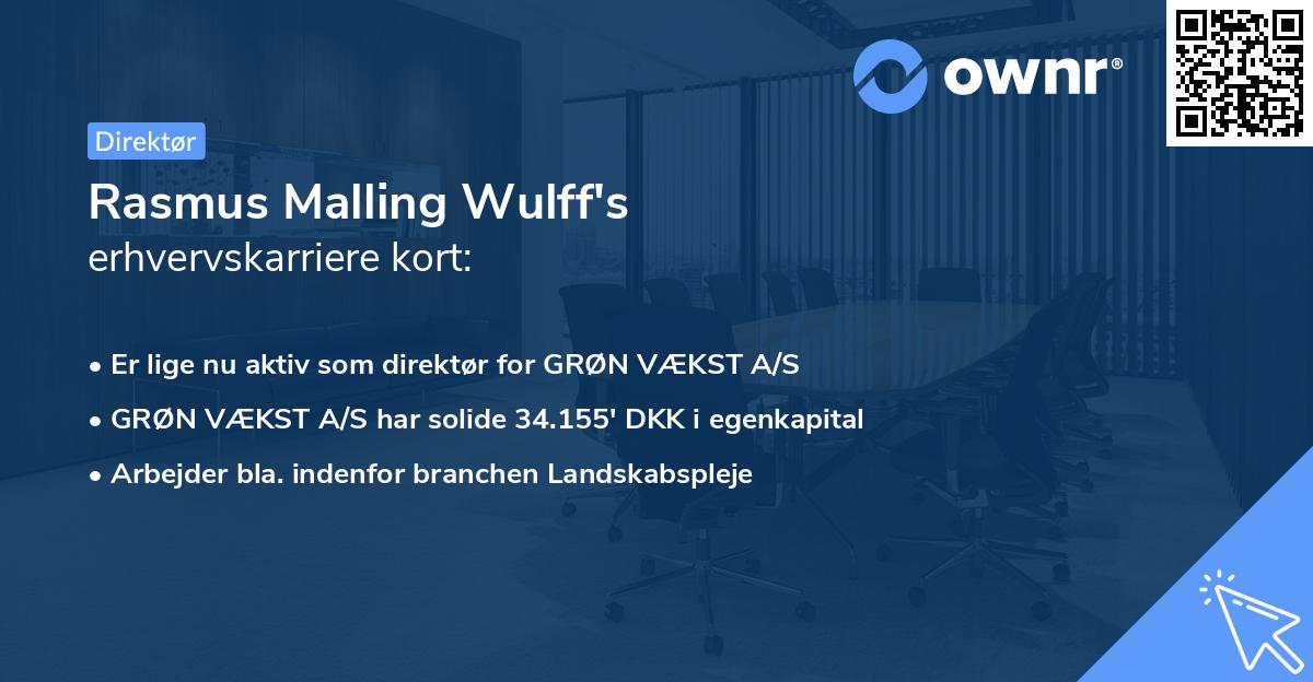 Rasmus Malling Wulff's erhvervskarriere kort