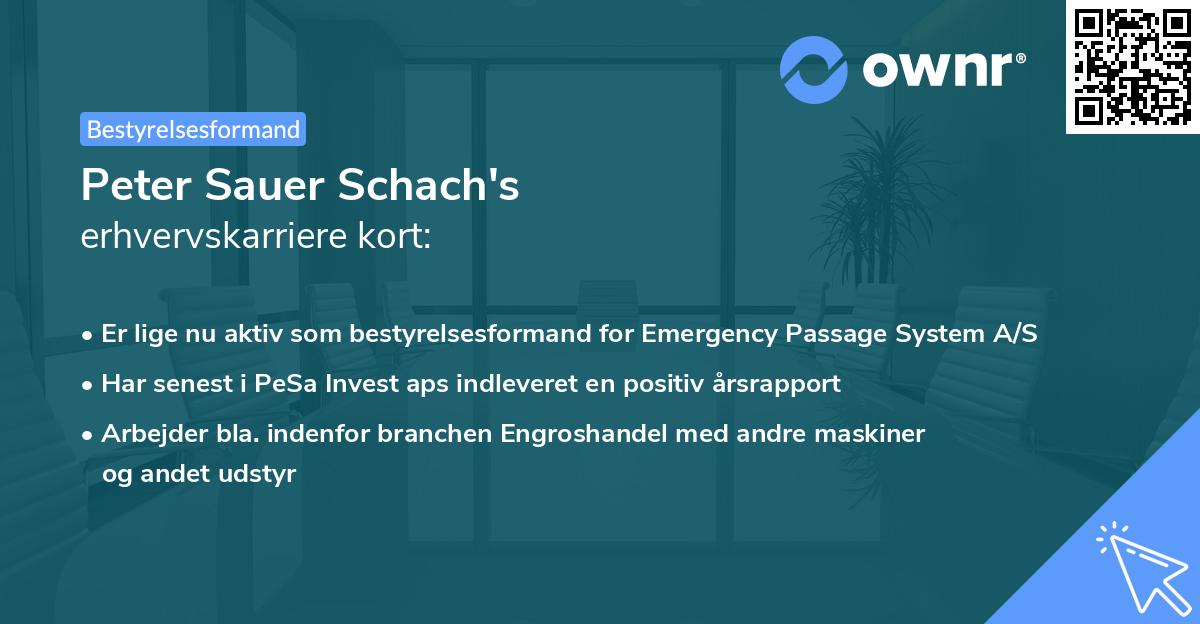 Peter Sauer Schach's erhvervskarriere kort