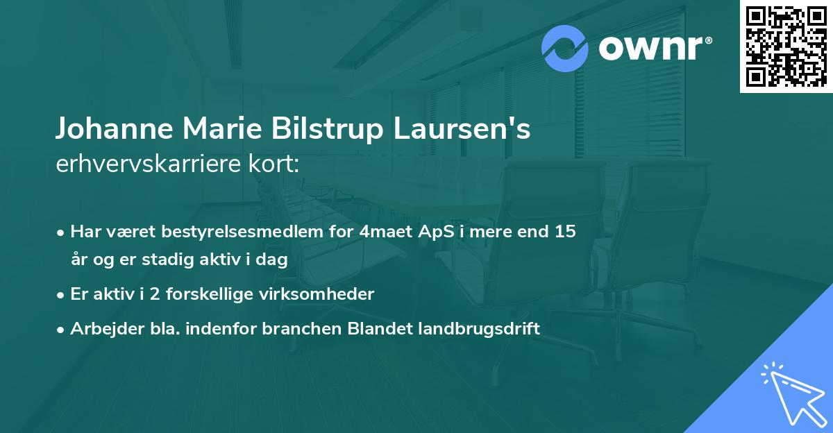 Johanne Marie Bilstrup Laursen's erhvervskarriere kort