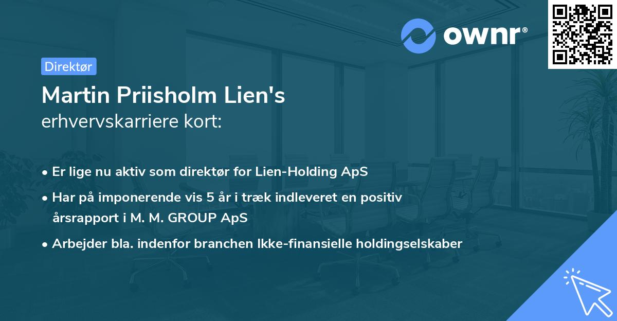Martin Priisholm Lien's erhvervskarriere kort