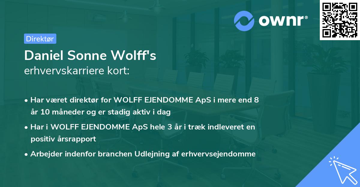 Daniel Sonne Wolff's erhvervskarriere kort