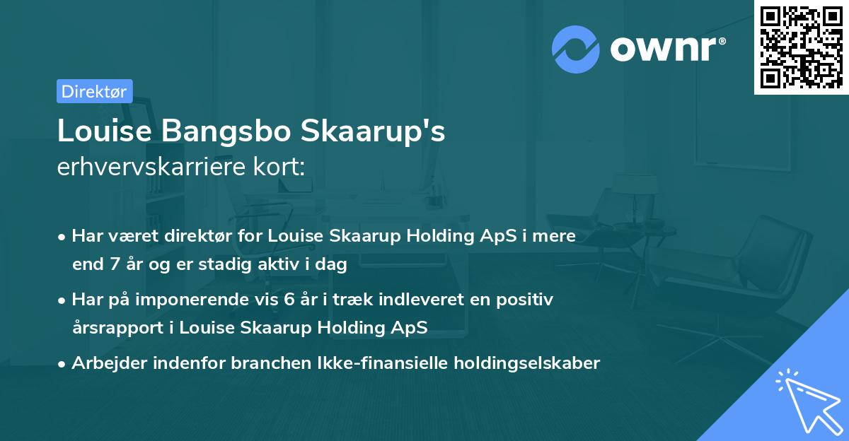 Louise Bangsbo Skaarup's erhvervskarriere kort
