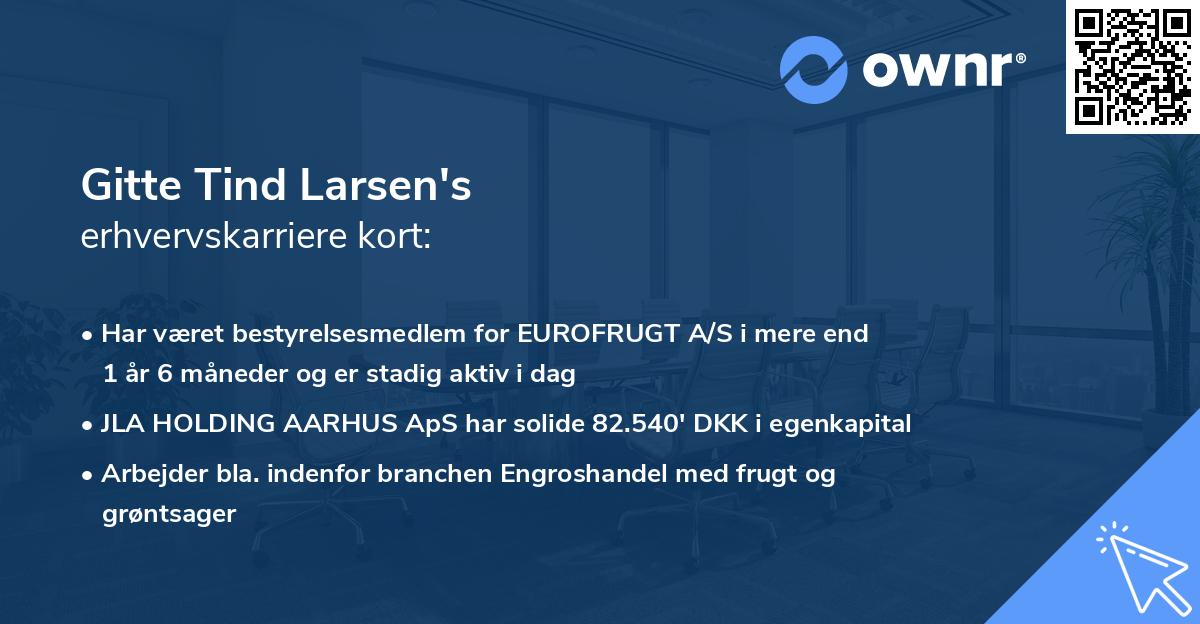 Gitte Tind Larsen's erhvervskarriere kort