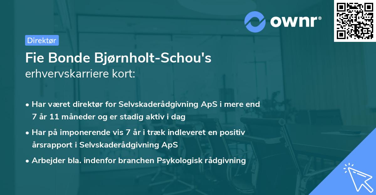 Fie Bonde Bjørnholt-Schou's erhvervskarriere kort