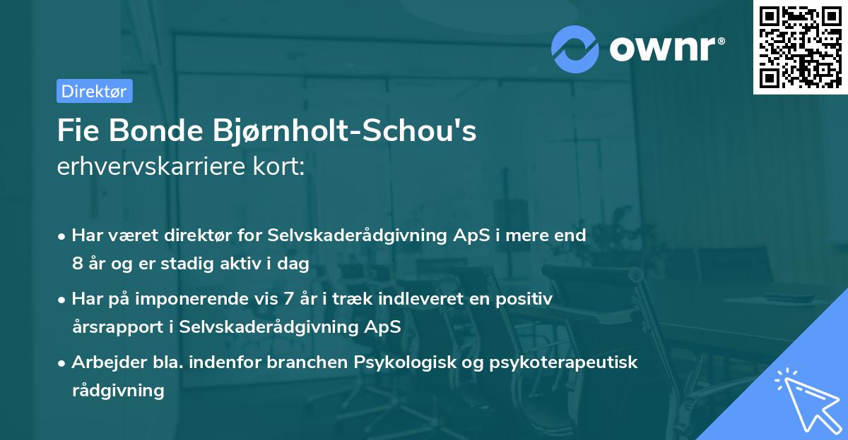 Fie Bonde Bjørnholt-Schou's erhvervskarriere kort