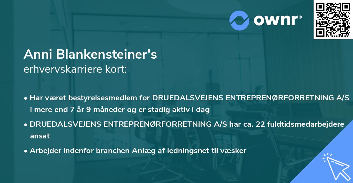 Anni Blankensteiner's erhvervskarriere kort