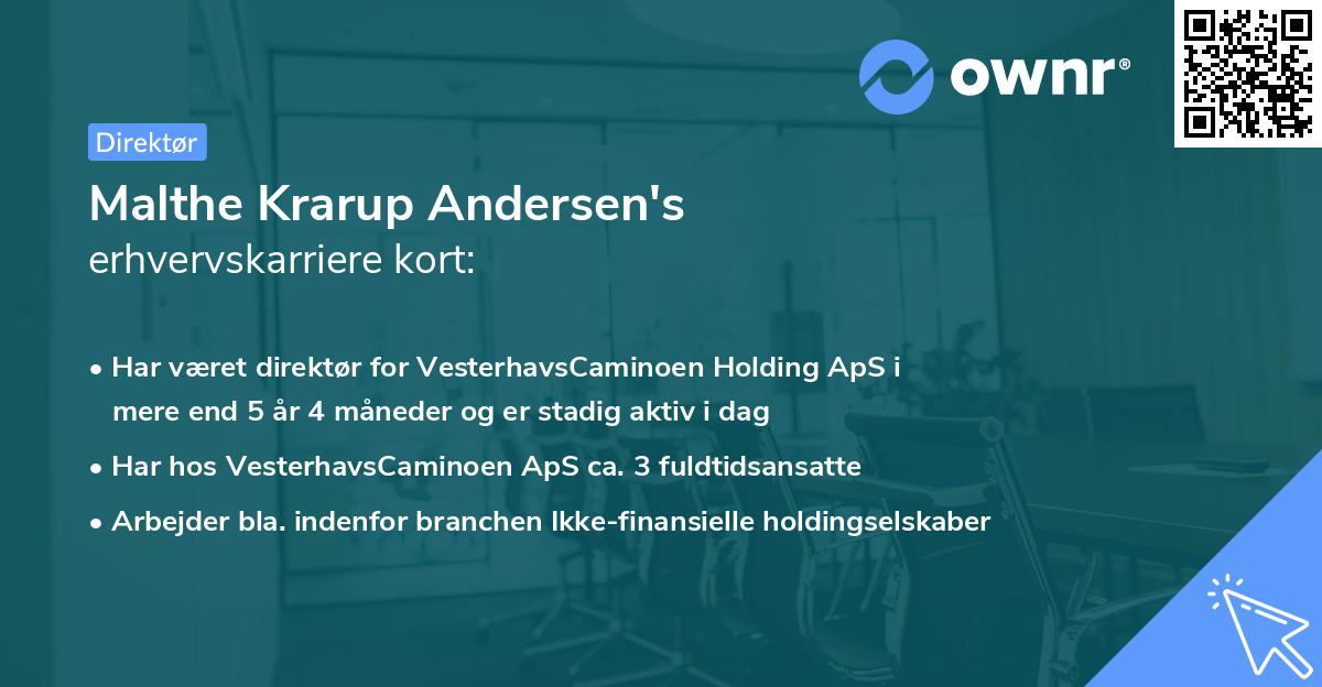 Malthe Krarup Andersen's erhvervskarriere kort