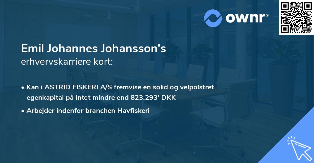 Emil Johannes Johansson's erhvervskarriere kort