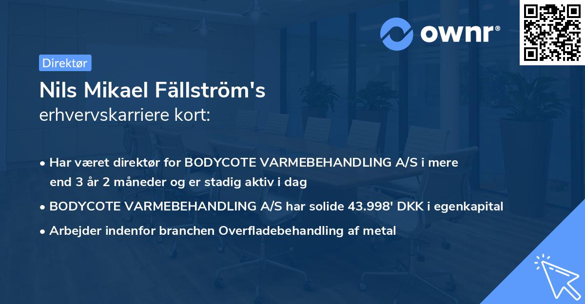 Nils Mikael Fällström's erhvervskarriere kort