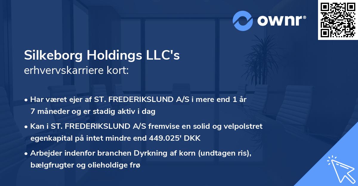 Silkeborg Holdings LLC's erhvervskarriere kort