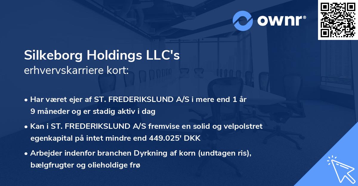 Silkeborg Holdings LLC's erhvervskarriere kort