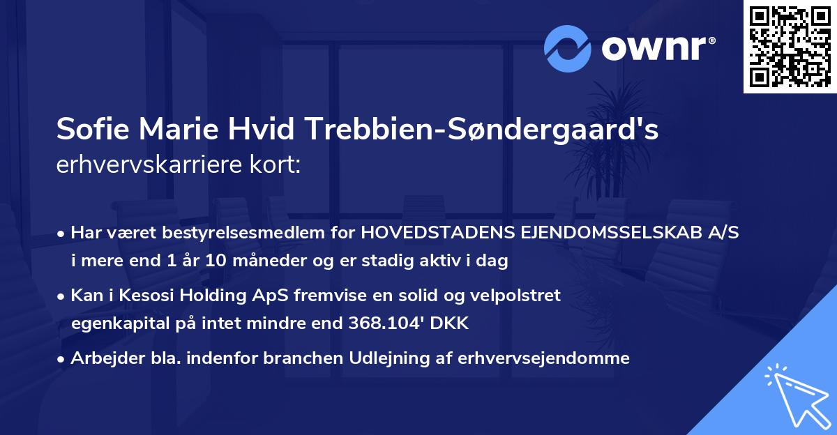 Sofie Marie Hvid Trebbien-Søndergaard's erhvervskarriere kort