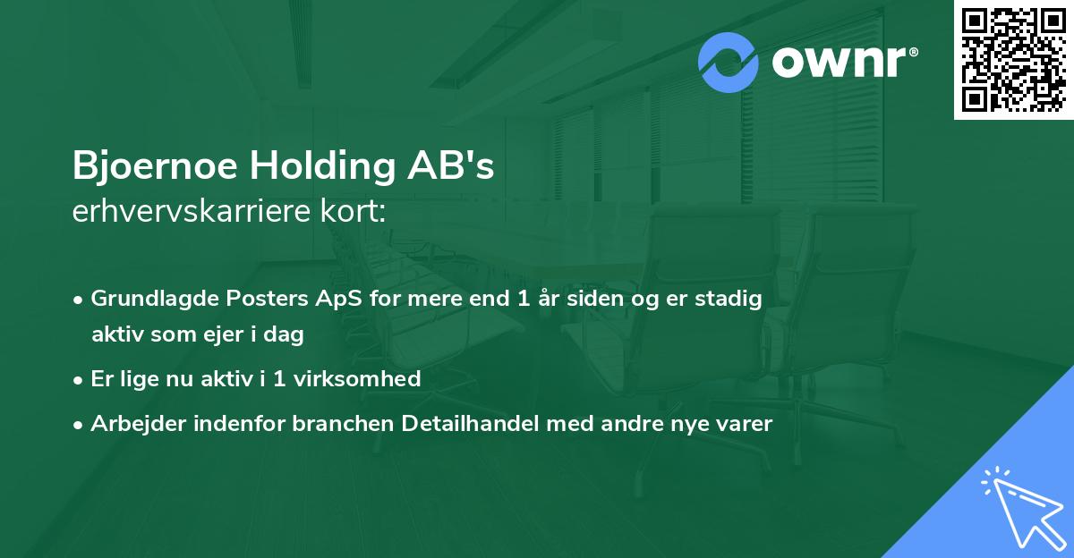 Bjoernoe Holding AB's erhvervskarriere kort