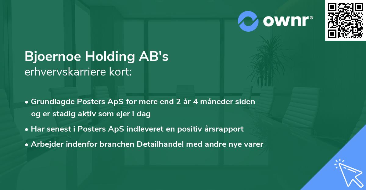 Bjoernoe Holding AB's erhvervskarriere kort