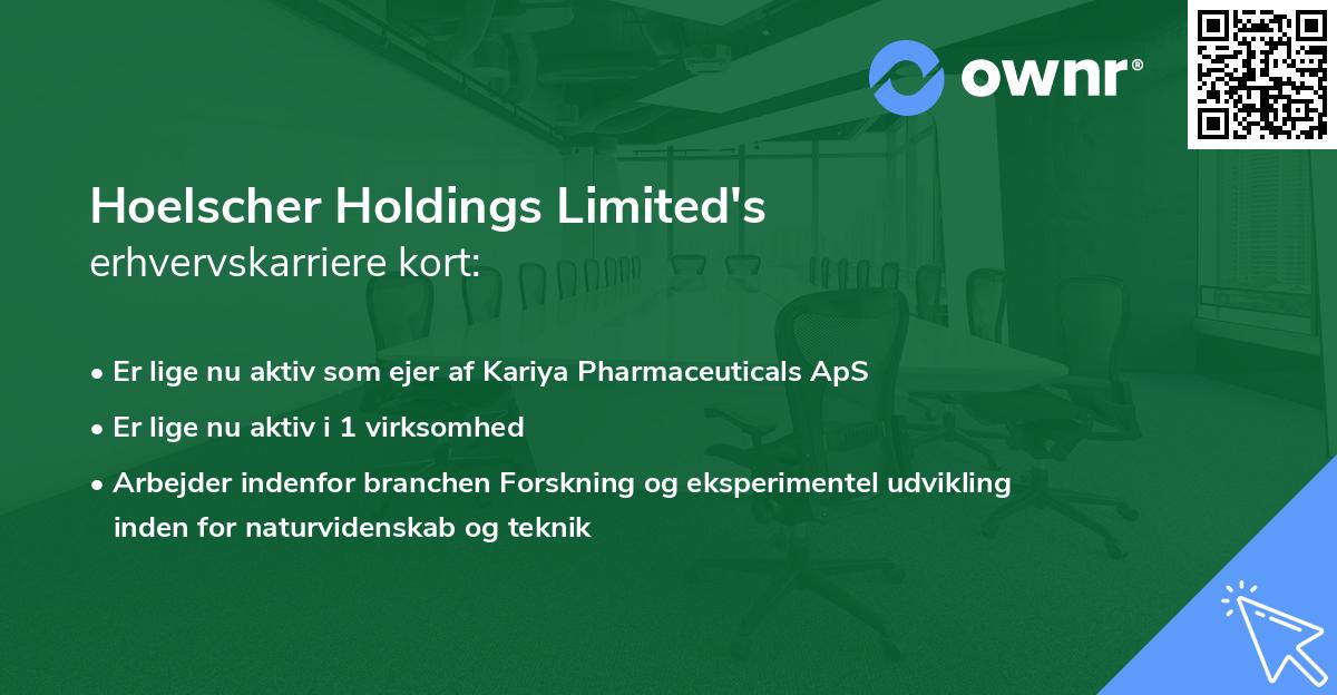 Hoelscher Holdings Limited's erhvervskarriere kort