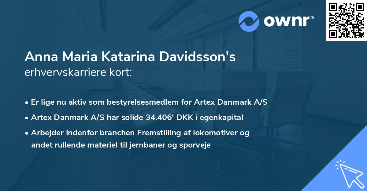 Anna Maria Katarina Davidsson's erhvervskarriere kort