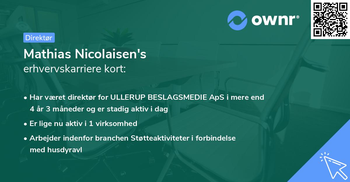 Mathias Nicolaisen's erhvervskarriere kort