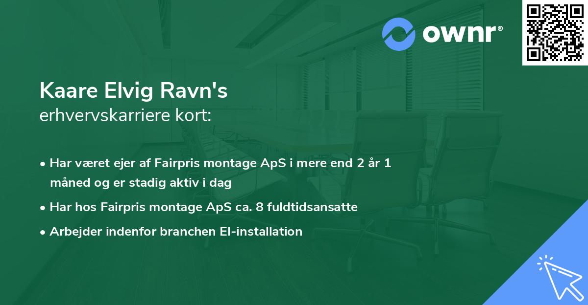 Kaare Elvig Ravn's erhvervskarriere kort