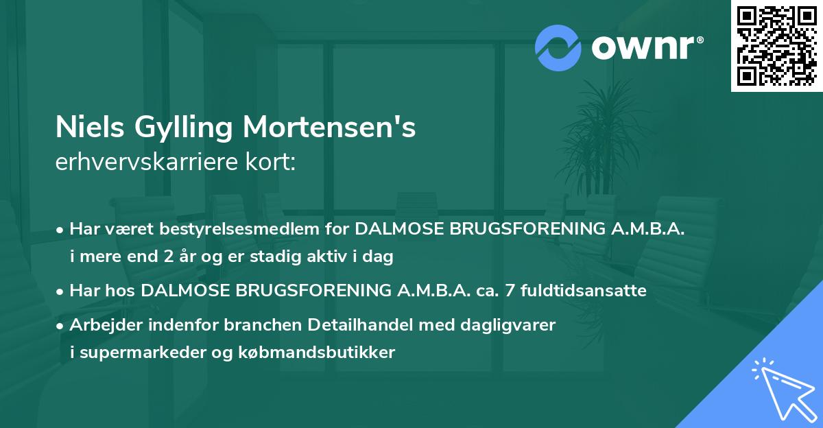 Niels Gylling Mortensen's erhvervskarriere kort