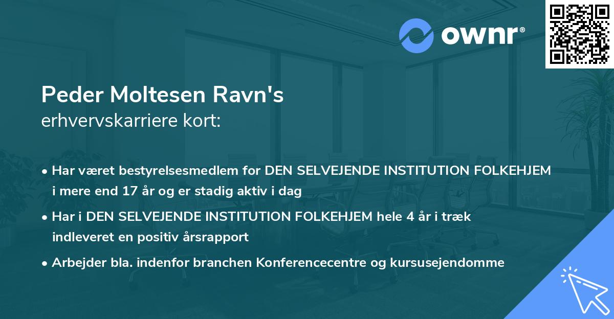 Peder Moltesen Ravn's erhvervskarriere kort