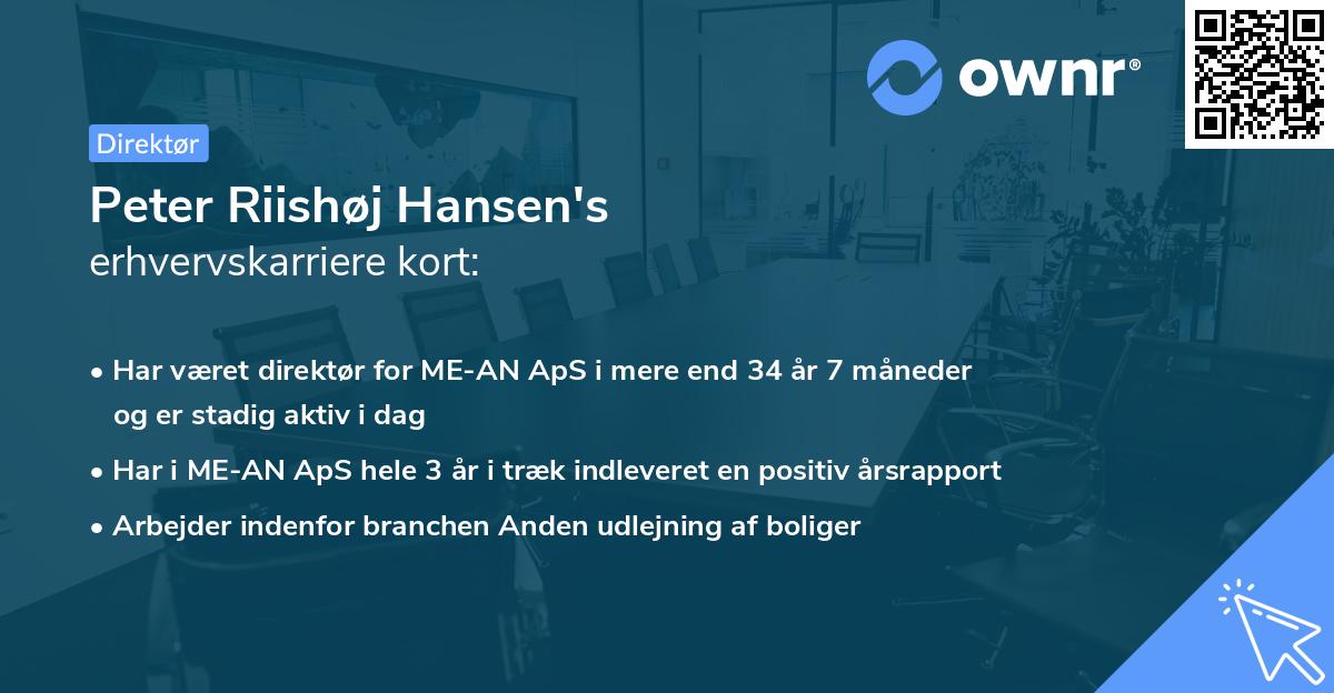 Peter Riishøj Hansen's erhvervskarriere kort