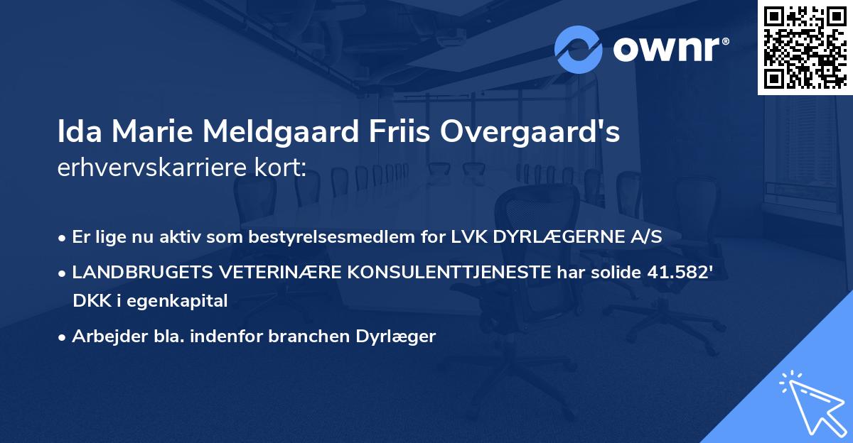 Ida Marie Meldgaard Friis Overgaard's erhvervskarriere kort