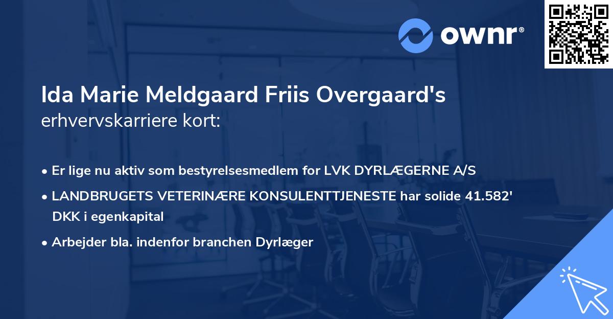 Ida Marie Meldgaard Friis Overgaard's erhvervskarriere kort