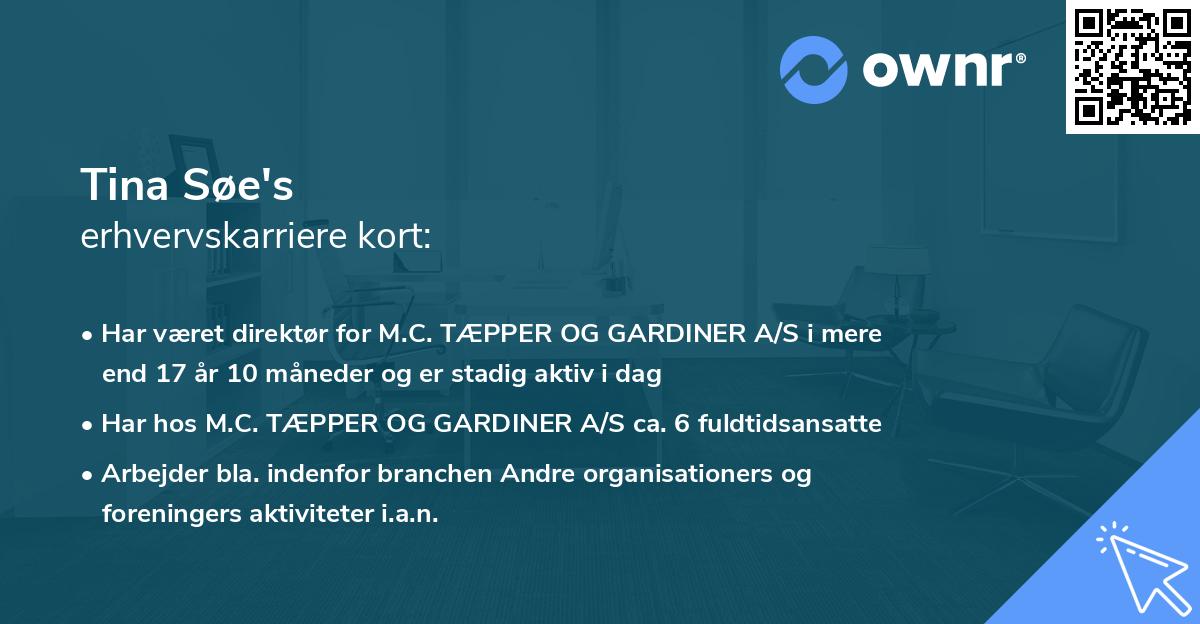 Tina Søe's erhvervskarriere kort