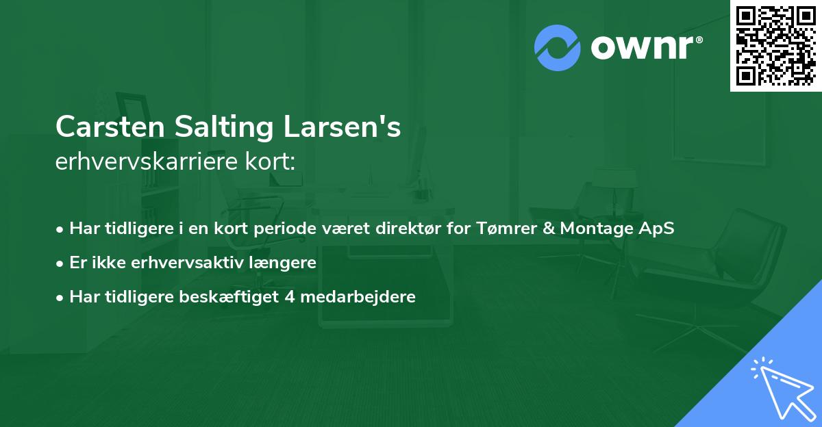 Carsten Salting Larsen's erhvervskarriere kort