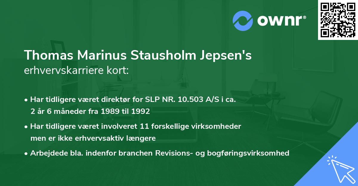 Thomas Marinus Stausholm Jepsen's erhvervskarriere kort