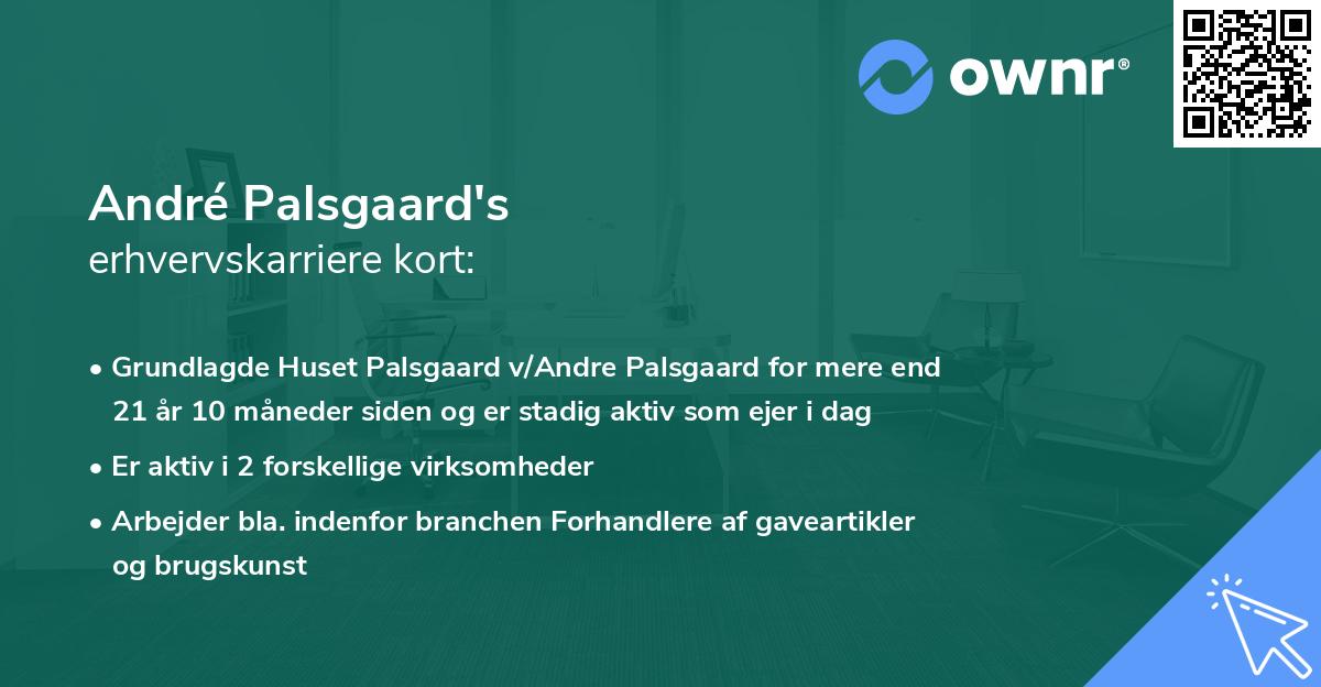 André Palsgaard's erhvervskarriere kort