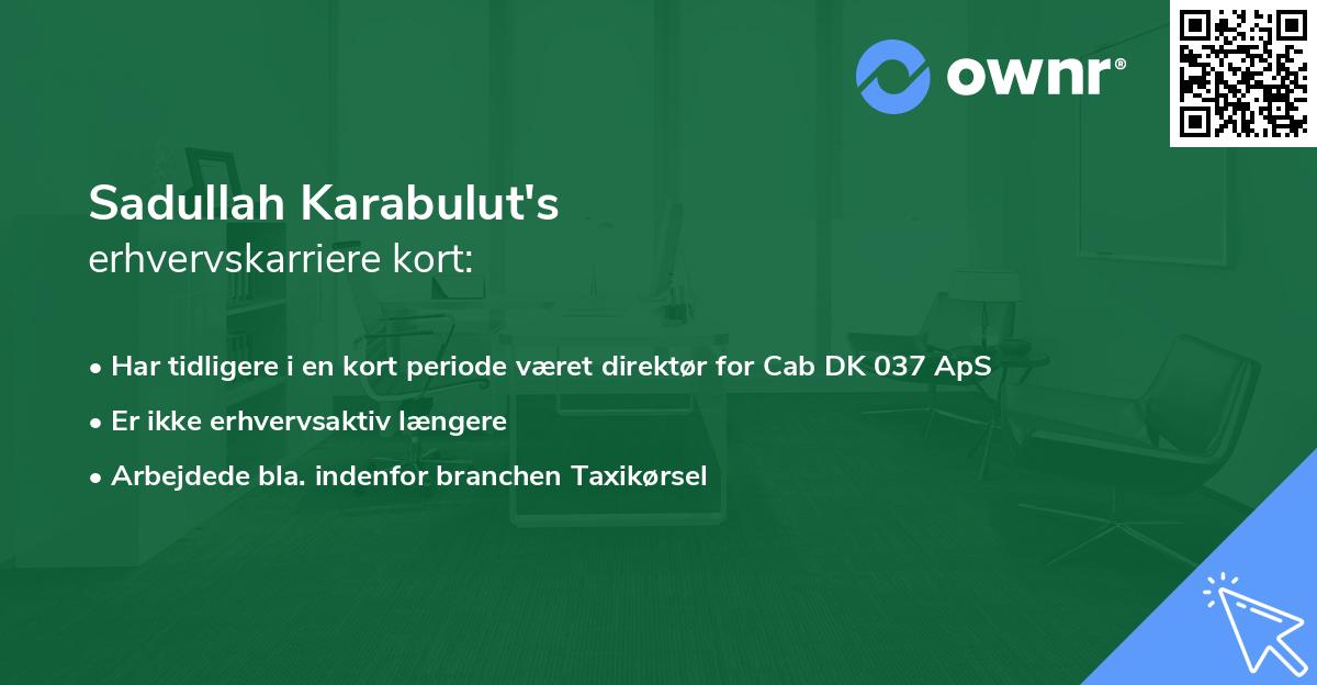 Sadullah Karabulut's erhvervskarriere kort