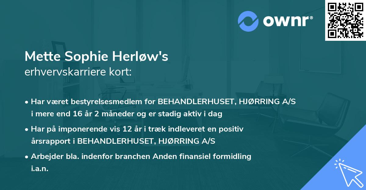 Mette Sophie Herløw's erhvervskarriere kort