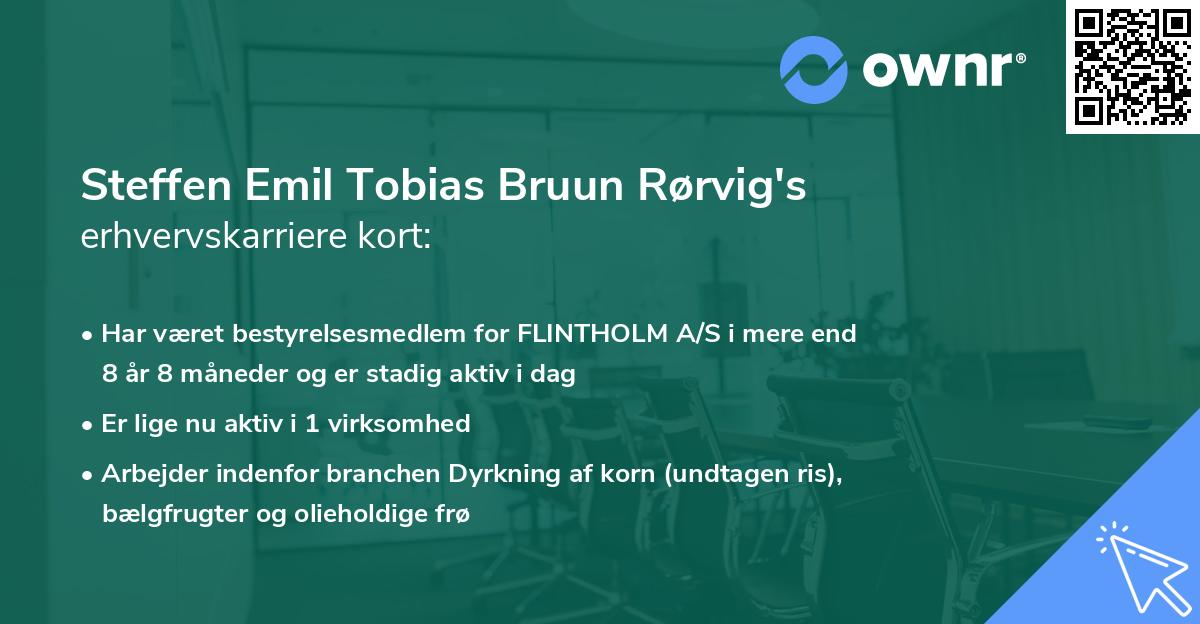 Steffen Emil Tobias Bruun Rørvig's erhvervskarriere kort