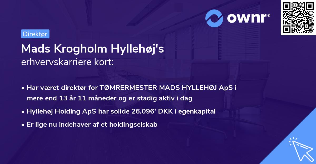 Mads Krogholm Hyllehøj's erhvervskarriere kort