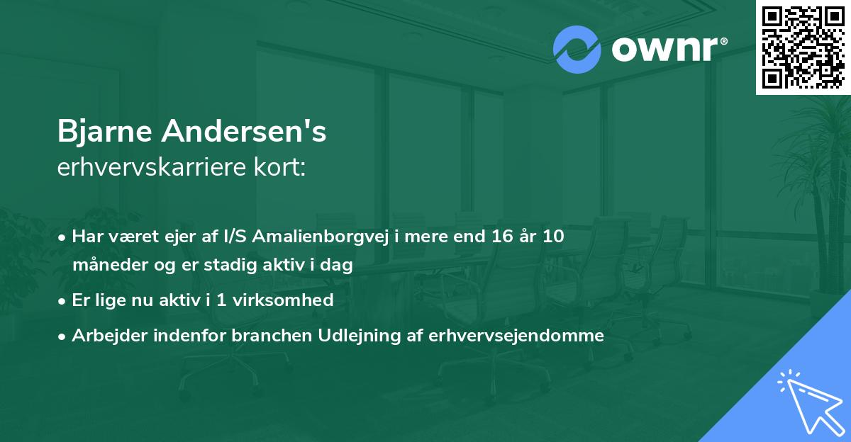 Bjarne Andersen's erhvervskarriere kort