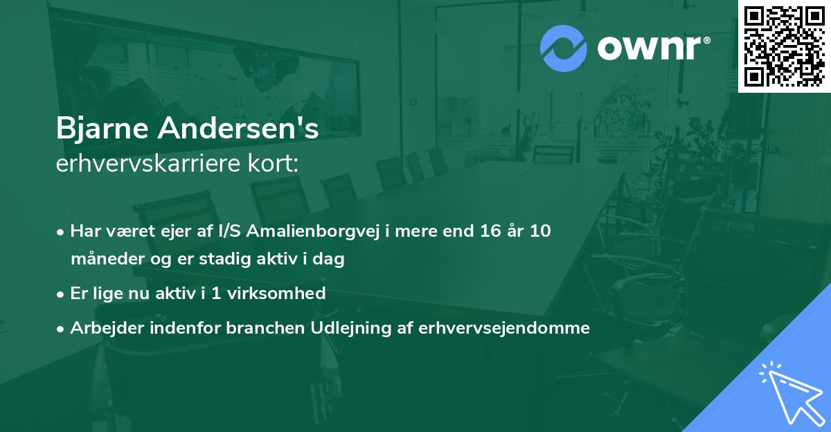 Bjarne Andersen's erhvervskarriere kort