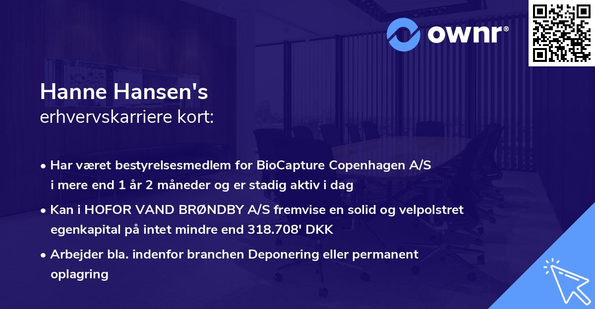 Hanne Hansen's erhvervskarriere kort