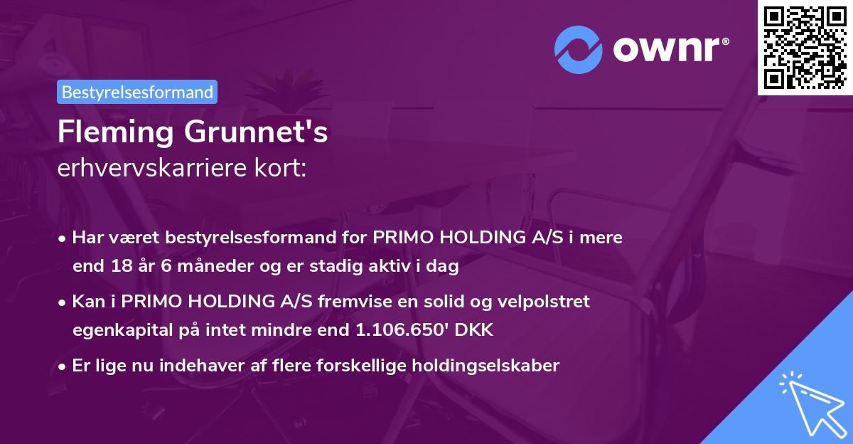 Fleming Grunnet's erhvervskarriere kort