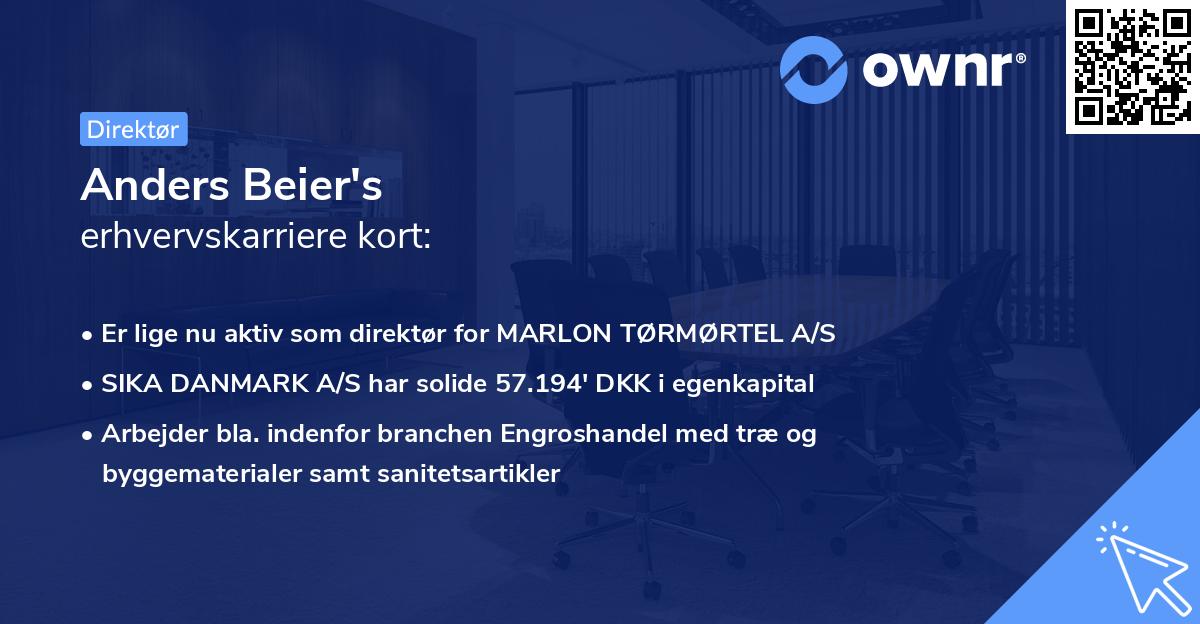 Anders Beier's erhvervskarriere kort