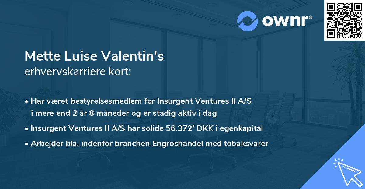 Mette Luise Valentin's erhvervskarriere kort