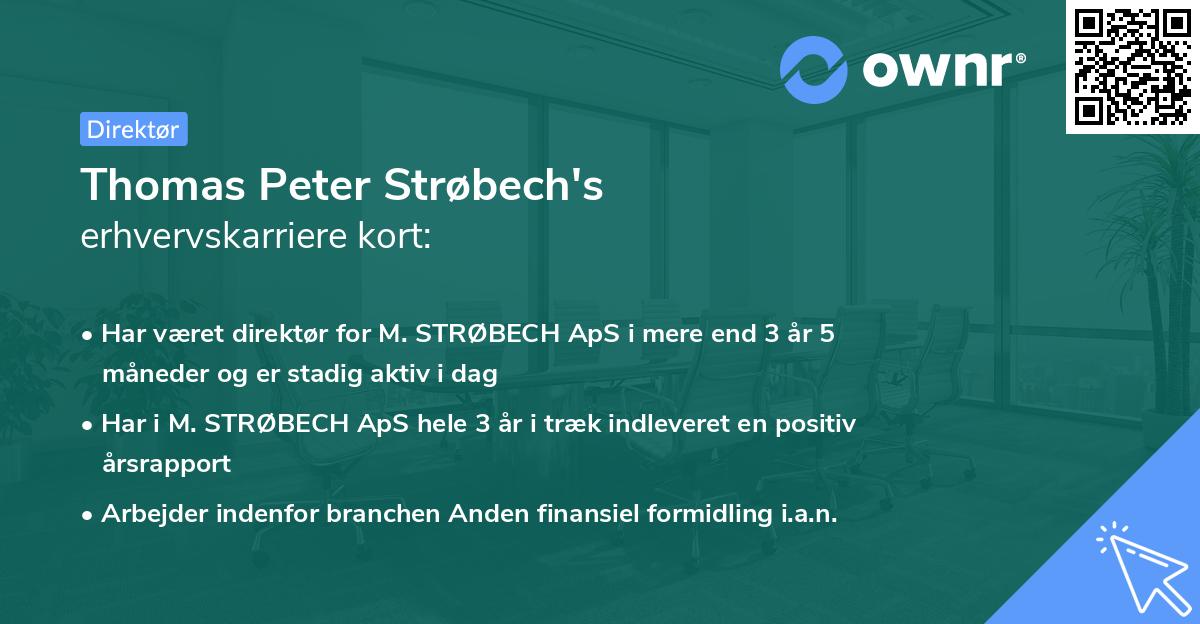 Thomas Peter Strøbech's erhvervskarriere kort