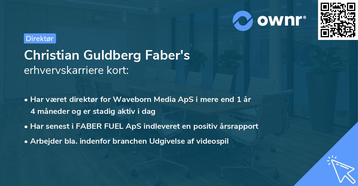 Christian Guldberg Faber's erhvervskarriere kort