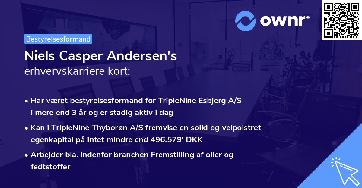 Niels Casper Andersen's erhvervskarriere kort