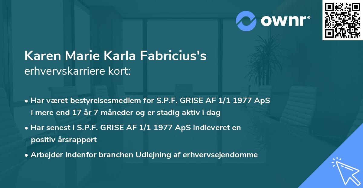 Karen Marie Karla Fabricius's erhvervskarriere kort