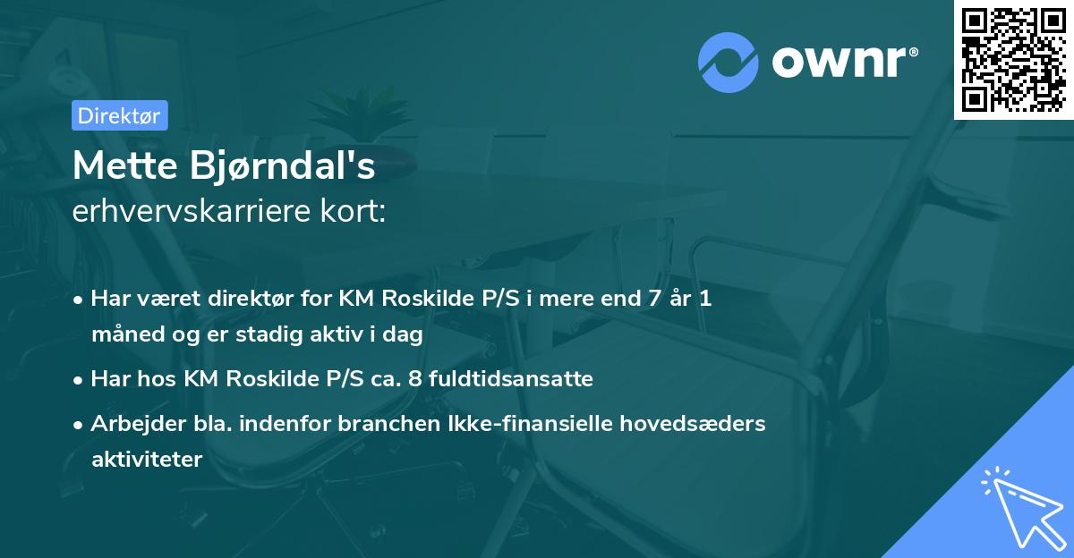 Mette Bjørndal's erhvervskarriere kort