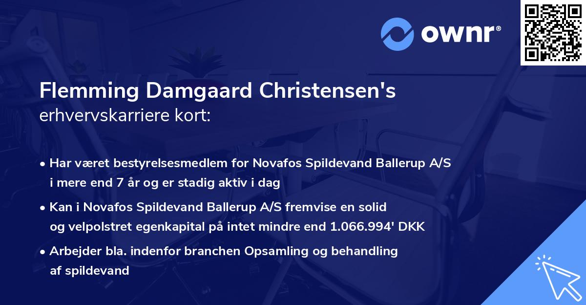 Flemming Damgaard Christensen's erhvervskarriere kort